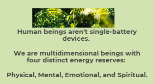Quote about humans being multi-dimensional.